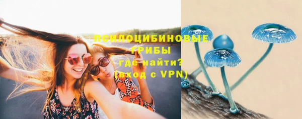 стафф Беломорск