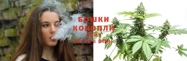 ешки Белокуриха